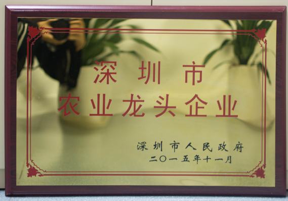 深圳市農業龍頭企業
